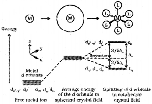 Plus Two Chemistry Chapter Wise Previous Questions Chapter 9 Coordination Compounds 6