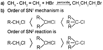 Plus Two Chemistry Chapter Wise Questions and Answers Chapter 10 Haloalkanes And Haloarenes 4M Q8.1