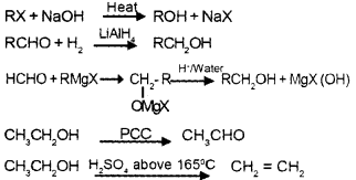 Plus Two Chemistry Chapter Wise Questions and Answers Chapter 11 Alcohols, Phenols and Ethers 3M Q2.1