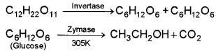 Plus Two Chemistry Chapter Wise Questions and Answers Chapter 11 Alcohols, Phenols and Ethers 3M Q3