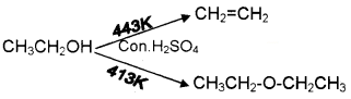 Plus Two Chemistry Chapter Wise Questions and Answers Chapter 11 Alcohols, Phenols and Ethers 4M Q2.1