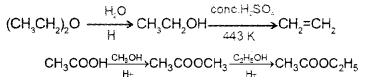 Plus Two Chemistry Chapter Wise Questions and Answers Chapter 11 Alcohols, Phenols and Ethers 4M Q5.1