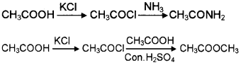 Plus Two Chemistry Chapter Wise Questions and Answers Chapter 12 Aldehydes, Ketones and Carboxylic Acids 2M Q11