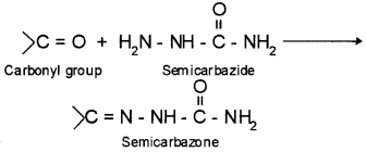 Plus Two Chemistry Chapter Wise Questions and Answers Chapter 12 Aldehydes, Ketones and Carboxylic Acids 4M Q6.2