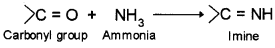 Plus Two Chemistry Chapter Wise Questions and Answers Chapter 12 Aldehydes, Ketones and Carboxylic Acids 4M Q6.7