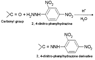 Plus Two Chemistry Chapter Wise Questions and Answers Chapter 12 Aldehydes, Ketones and Carboxylic Acids 4M Q6.8