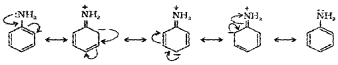 Plus Two Chemistry Chapter Wise Questions and Answers Chapter 13 Amines 2M Q1