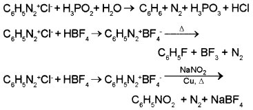 Plus Two Chemistry Chapter Wise Questions and Answers Chapter 13 Amines 2M Q5