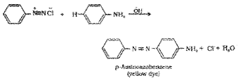 Plus Two Chemistry Chapter Wise Questions and Answers Chapter 13 Amines 3M Q5.1