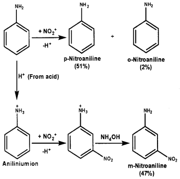 Plus Two Chemistry Chapter Wise Questions and Answers Chapter 13 Amines 4M Q12.1