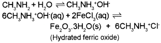 Plus Two Chemistry Chapter Wise Questions and Answers Chapter 13 Amines 4M Q12