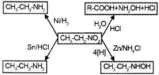 Plus Two Chemistry Chapter Wise Questions and Answers Chapter 13 Amines 4M Q3.1