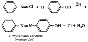 Plus Two Chemistry Chapter Wise Questions and Answers Chapter 13 Amines Textbook Questions Q2.2