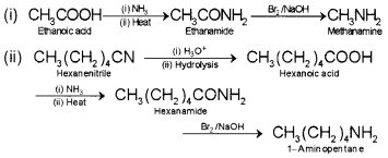 Plus Two Chemistry Chapter Wise Questions and Answers Chapter 13 Amines Textbook Questions Q3