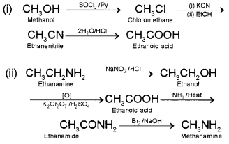 Plus Two Chemistry Chapter Wise Questions and Answers Chapter 13 Amines Textbook Questions Q4