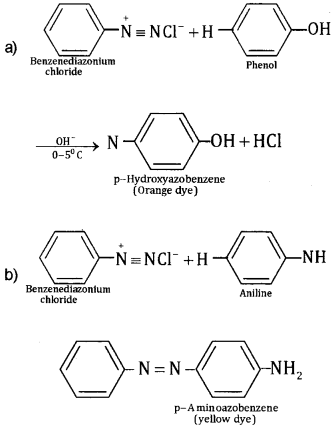 Plus Two Chemistry Chapter Wise Questions and Answers Chapter 13 Amines Textbook Questions Q7.3