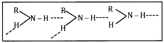 Plus Two Chemistry Chapter Wise Questions and Answers Chapter 13 Amines Textbook Questions Q8.1