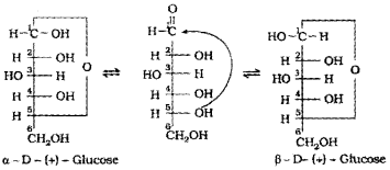 Plus Two Chemistry Chapter Wise Questions and Answers Chapter 14 Biomolecules 3M Q1