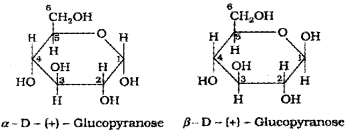 Plus Two Chemistry Chapter Wise Questions and Answers Chapter 14 Biomolecules 4M Q4