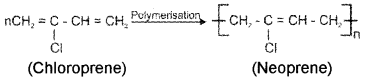 Plus Two Chemistry Chapter Wise Questions and Answers Chapter 15 Polymers 3M Q7.1