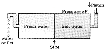 Plus Two Chemistry Chapter Wise Questions and Answers Chapter 2 Solutions 2M Q7