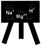 Plus Two Chemistry Chapter Wise Questions and Answers Chapter 3 Electrochemistry 3M Q10