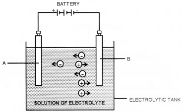 Plus Two Chemistry Chapter Wise Questions and Answers Chapter 3 Electrochemistry 3M Q6