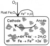 Plus Two Chemistry Chapter Wise Questions and Answers Chapter 3 Electrochemistry 3M Q8