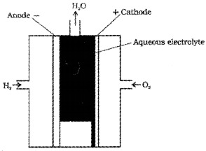 Plus Two Chemistry Chapter Wise Questions and Answers Chapter 3 Electrochemistry 4M Q13