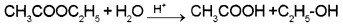 Plus Two Chemistry Chapter Wise Questions and Answers Chapter 4 Chemical Kinetics 3M Q8.1