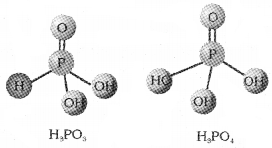 Plus Two Chemistry Chapter Wise Questions and Answers Chapter 7 The p Block Elements 2M Q25