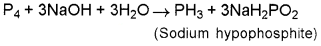 Plus Two Chemistry Chapter Wise Questions and Answers Chapter 7 The p Block Elements 4M Q1