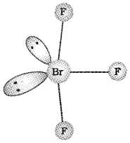 Plus Two Chemistry Chapter Wise Questions and Answers Chapter 7 The p Block Elements 4M Q10