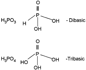 Plus Two Chemistry Chapter Wise Questions and Answers Chapter 7 The p Block Elements 4M Q6.1