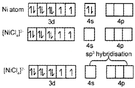 Plus Two Chemistry Chapter Wise Questions and Answers Chapter 9 Coordination Compounds 4M Q16.1