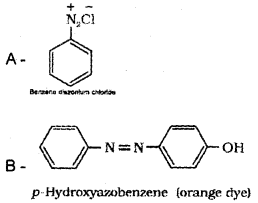 Plus Two Chemistry Model Question Paper 1, 11