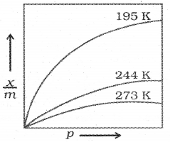 Plus Two Chemistry Model Question Paper 1, 19