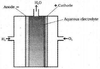 Plus Two Chemistry Model Question Paper 1, 28