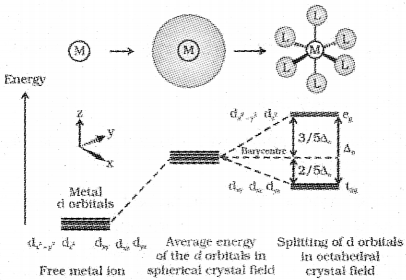 Plus Two Chemistry Model Question Paper 1, 29