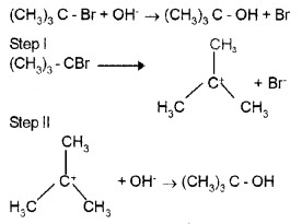 Plus Two Chemistry Notes Chapter 10 Haloalkanes and Haloarenes 17