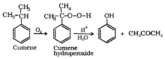 Plus Two Chemistry Notes Chapter 11 Alcohols, Phenols and Ethers 19