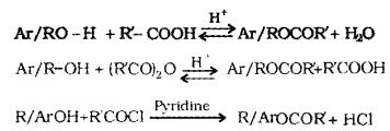 Plus Two Chemistry Notes Chapter 11 Alcohols, Phenols and Ethers 24