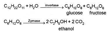 Plus Two Chemistry Notes Chapter 11 Alcohols, Phenols and Ethers 44