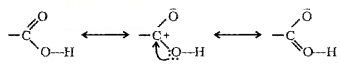 Plus Two Chemistry Notes Chapter 12 Aldehydes, Ketones and Carboxylic Acids 38