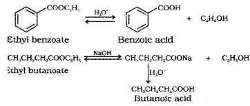 Plus Two Chemistry Notes Chapter 12 Aldehydes, Ketones and Carboxylic Acids 46