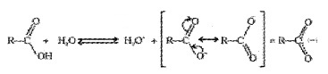 Plus Two Chemistry Notes Chapter 12 Aldehydes, Ketones and Carboxylic Acids 48