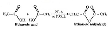 Plus Two Chemistry Notes Chapter 12 Aldehydes, Ketones and Carboxylic Acids 49