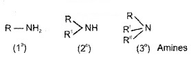 Plus Two Chemistry Notes Chapter 13 Amines 1