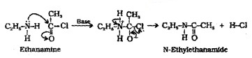 Plus Two Chemistry Notes Chapter 13 Amines 11