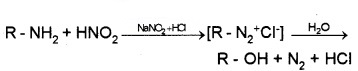 Plus Two Chemistry Notes Chapter 13 Amines 14